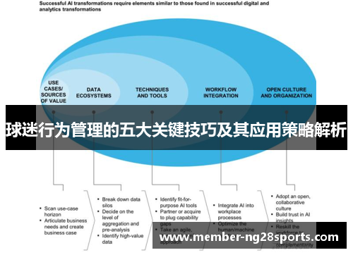 球迷行为管理的五大关键技巧及其应用策略解析