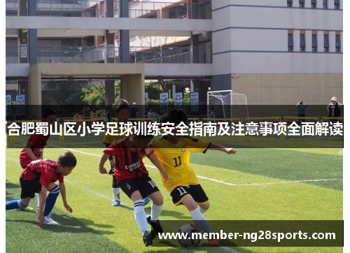 合肥蜀山区小学足球训练安全指南及注意事项全面解读