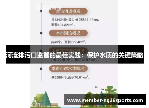 河流排污口监管的最佳实践：保护水质的关键策略
