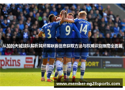 从加的夫城球队解析其所属联赛信息获取方法与权威识别指南全面篇