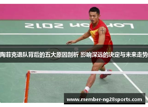 陶菲克退队背后的五大原因剖析 影响深远的决定与未来走势