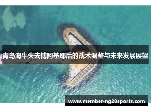 青岛海牛失去博阿基耶后的战术调整与未来发展展望
