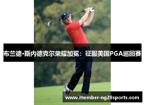 布兰德·斯内德克尔荣耀加冕：征服美国PGA巡回赛